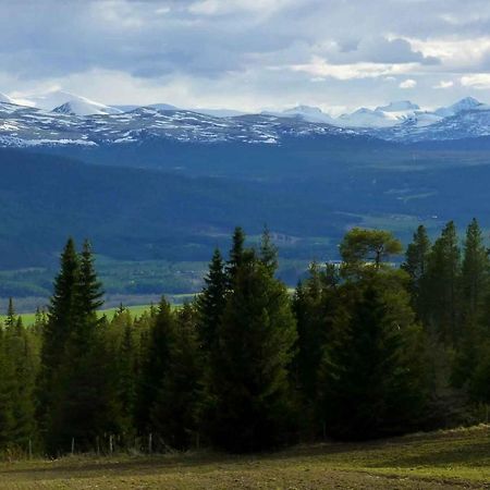 Tronsvangen Seter Ostello Alvdal Esterno foto