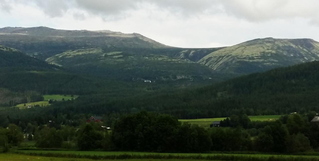 Tronsvangen Seter Ostello Alvdal Esterno foto