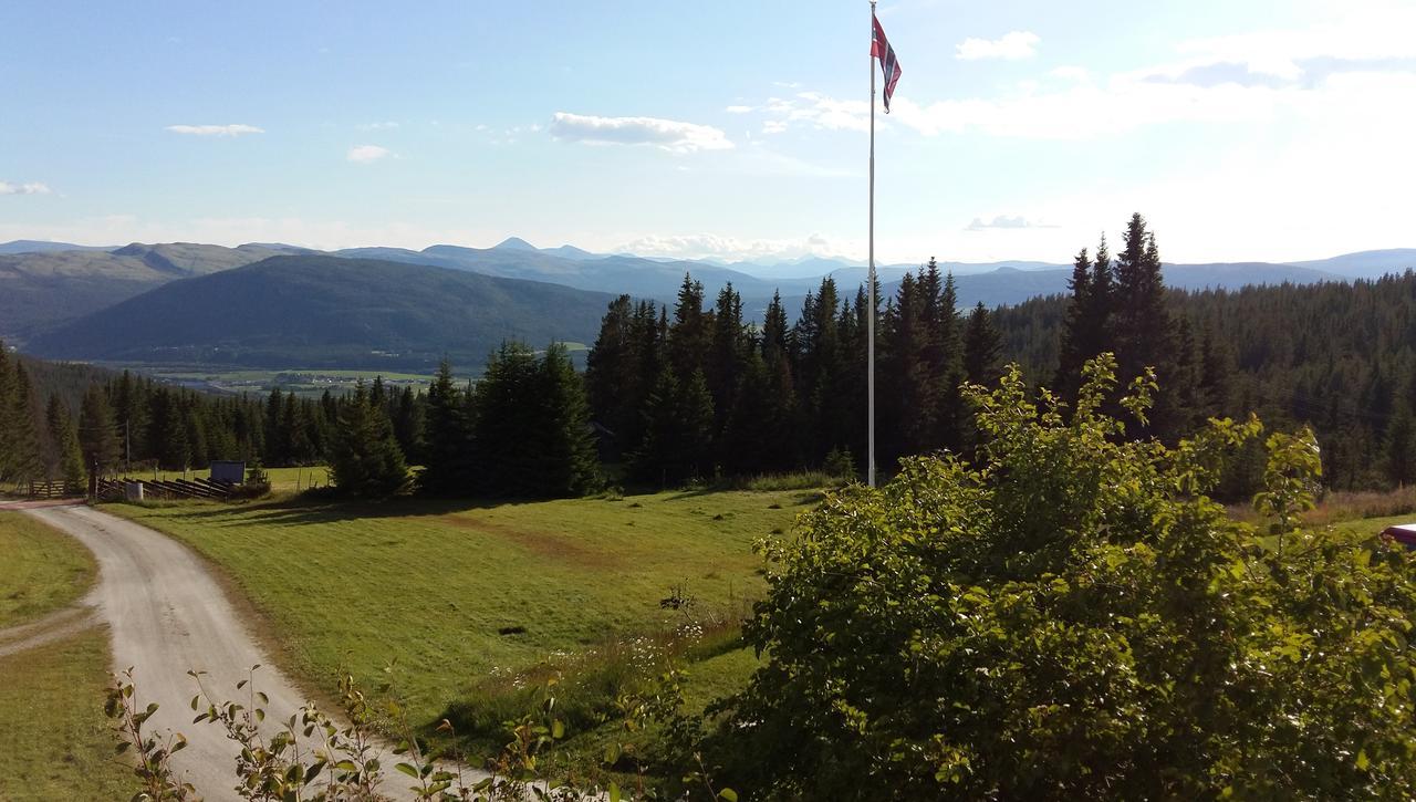 Tronsvangen Seter Ostello Alvdal Esterno foto