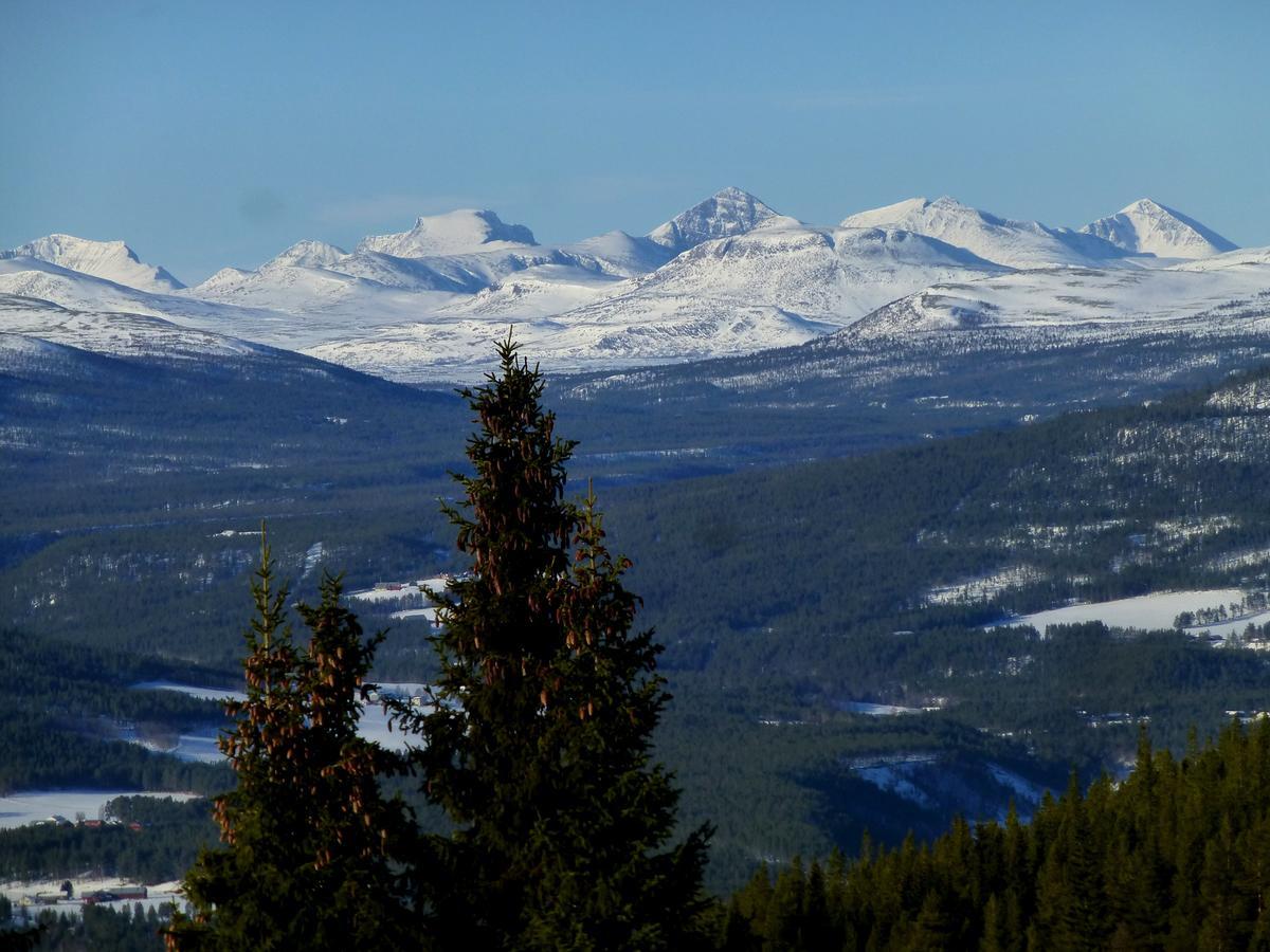 Tronsvangen Seter Ostello Alvdal Esterno foto