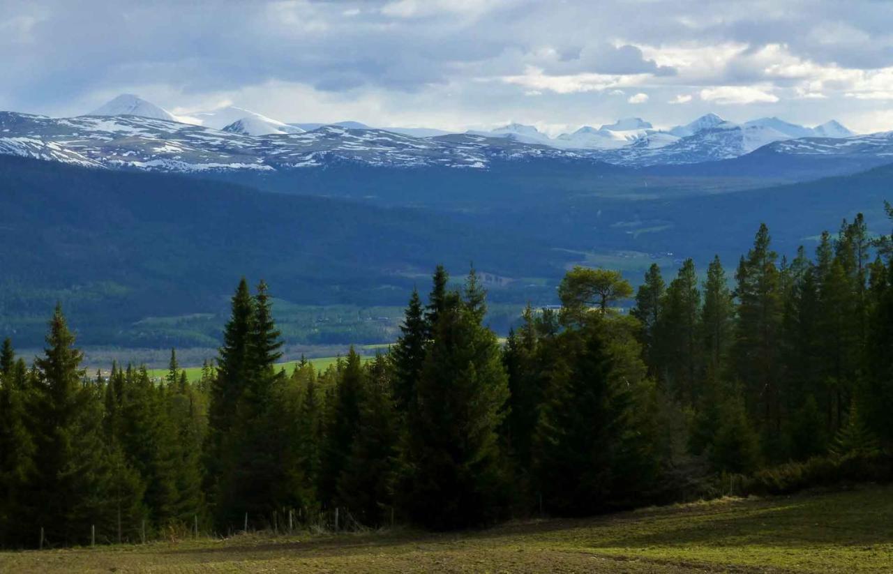 Tronsvangen Seter Ostello Alvdal Esterno foto